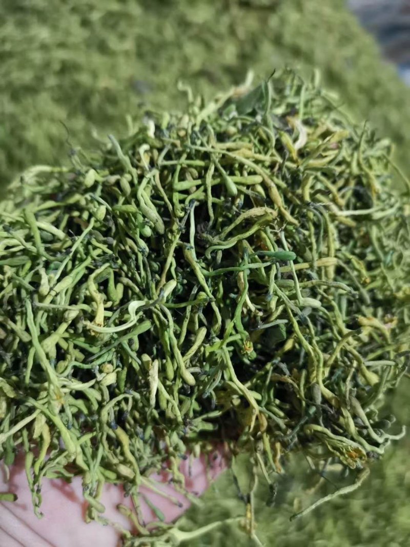 小米花，金银花优质小米花，小米花优惠大酬宾