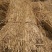 本公司常年出售优质稻草克拉斯稻草无土无膜