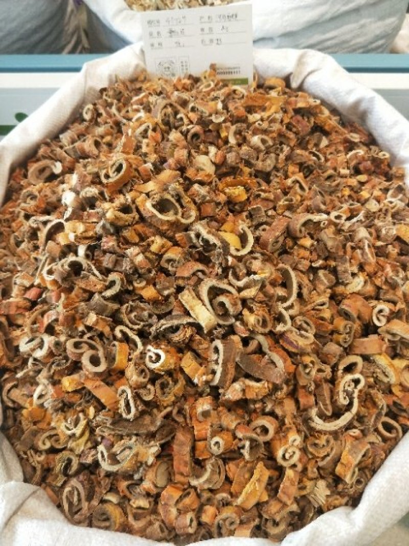 桑白皮