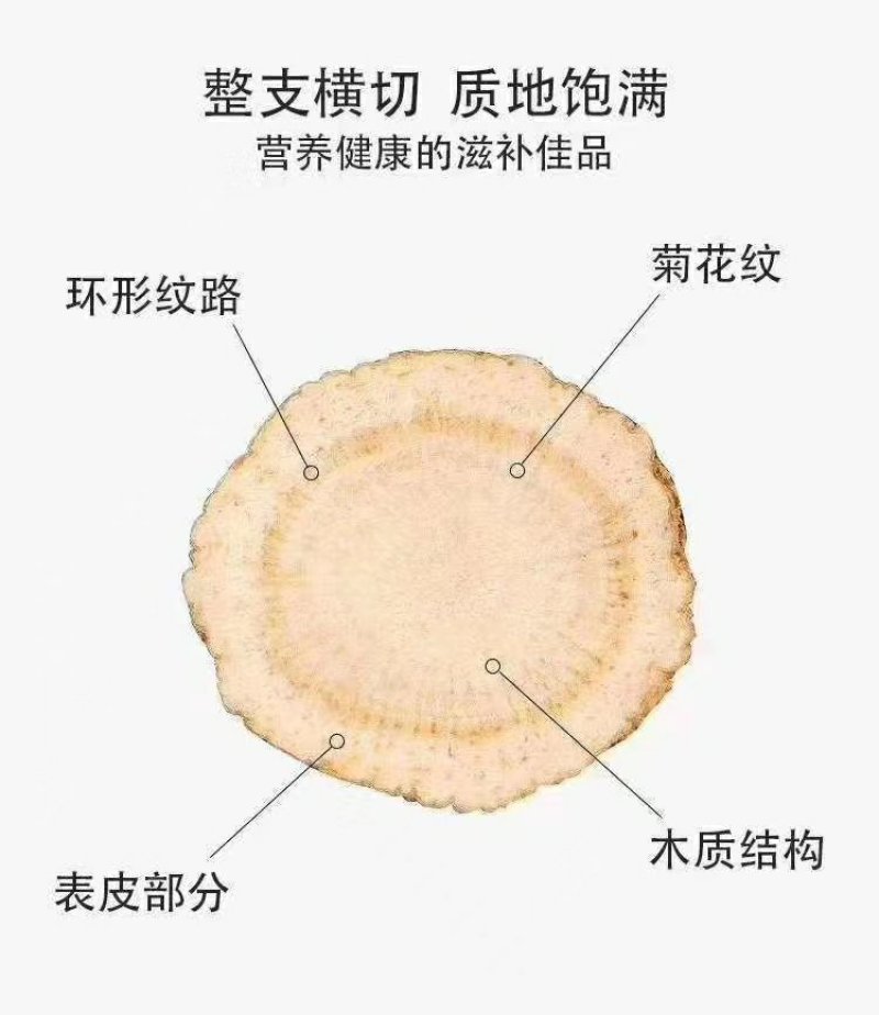 西洋参软片1.0片批发各种规格中药材饮片