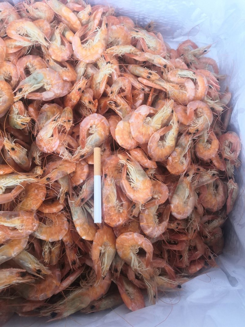 对虾虾干，盐田烤虾，自产自销，一手货源保质保量