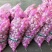 邳州精品分级紫皮大蒜邳州精品分级紫皮大蒜