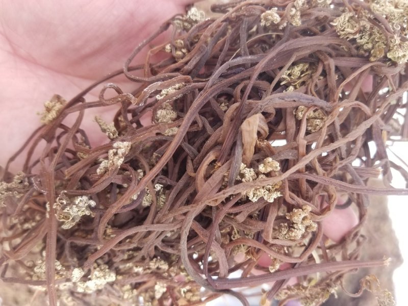 蕨菜干东北蕨菜野生蕨菜大兴安岭蕨菜干黑龙江产地特产