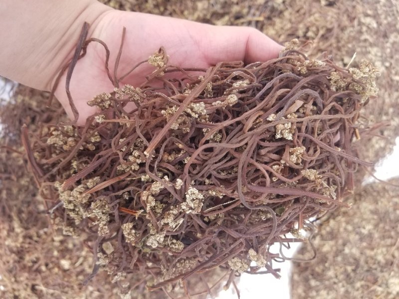 蕨菜干东北蕨菜野生蕨菜大兴安岭蕨菜干黑龙江产地特产