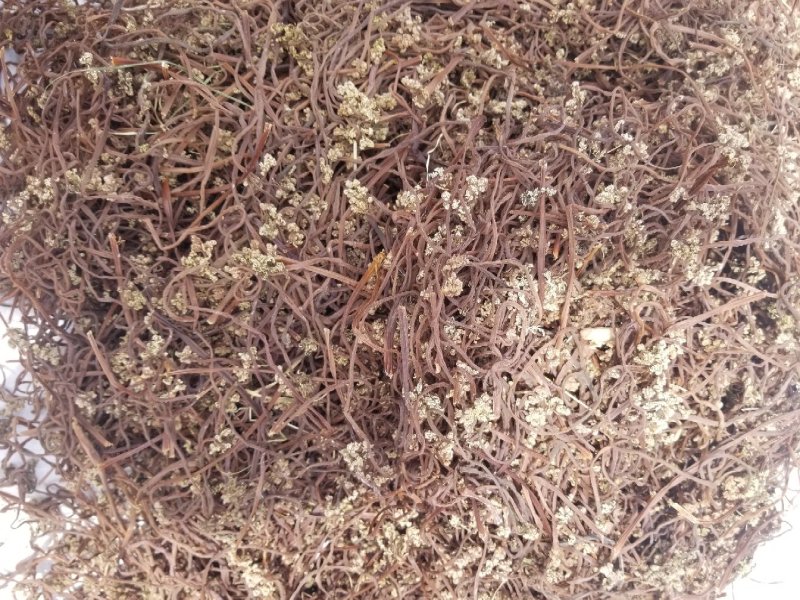 蕨菜干东北蕨菜野生蕨菜大兴安岭蕨菜干黑龙江产地特产