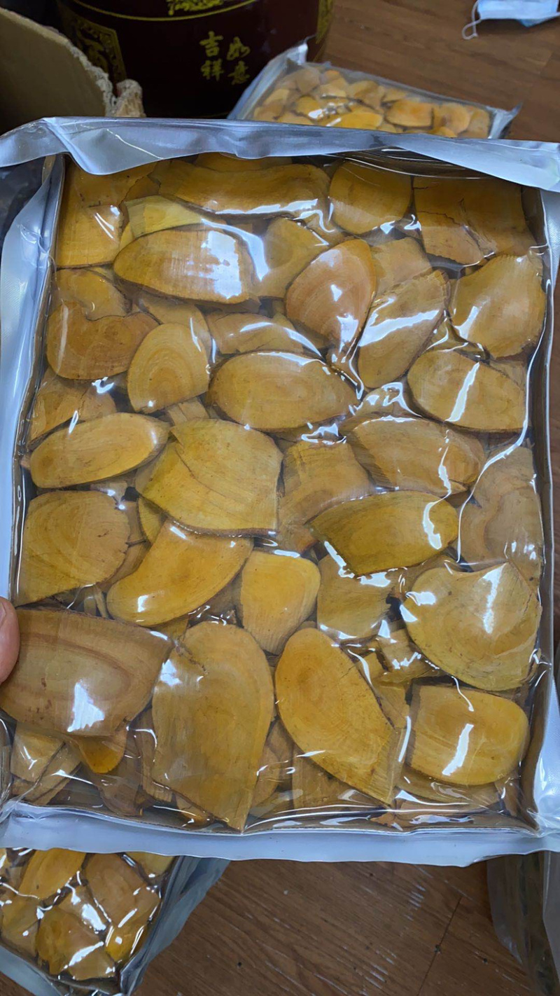 东哥阿里