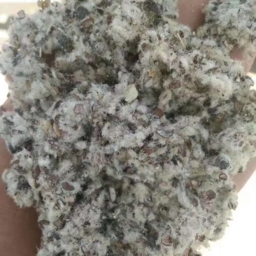 湖北湖南磨盘棉籽壳小壳长绒齿辊棉壳中壳中绒含粉含油棉壳
