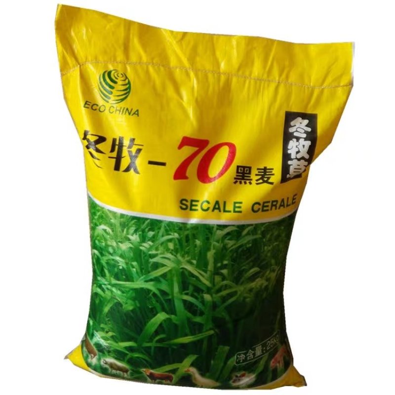 牧草种子冬牧70黑麦草苏丹多年生苜蓿种子阔叶养牛羊鸡鸭鱼