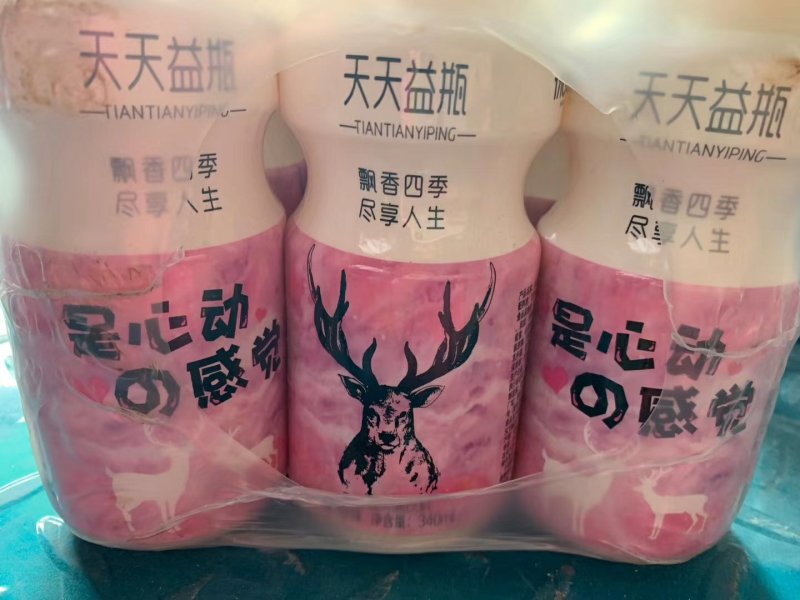 乳酸菌酸奶益生菌胃动力达利园厂价直销电商超市地摊批发