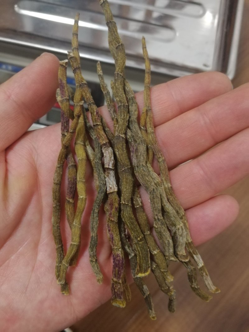 铁皮石斛干条特级干条全化渣全国包邮