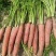 红萝卜