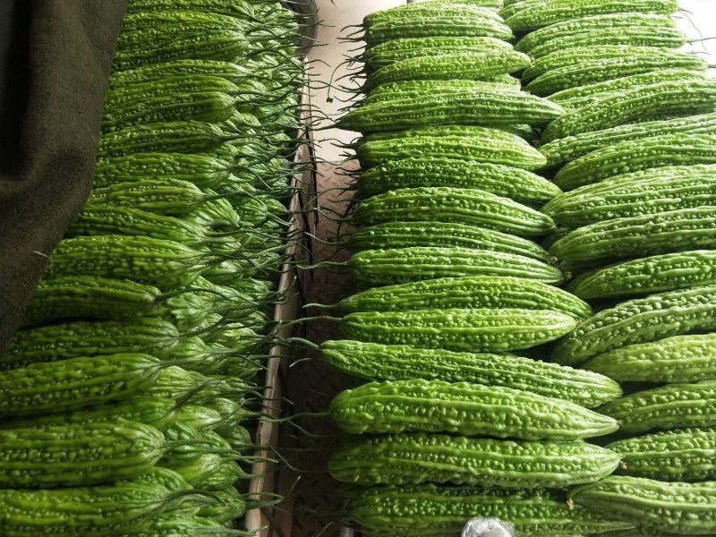 自家种植现摘现发