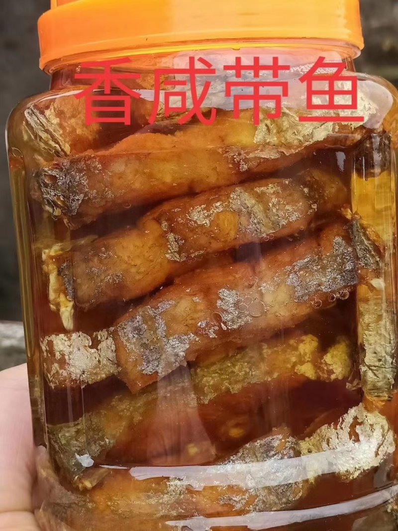 鳗鱼马鲛鱼带鱼