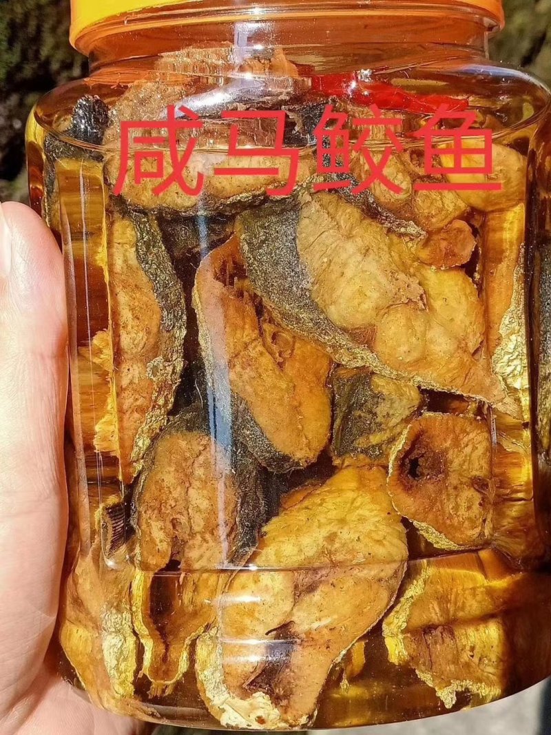 鳗鱼马鲛鱼带鱼