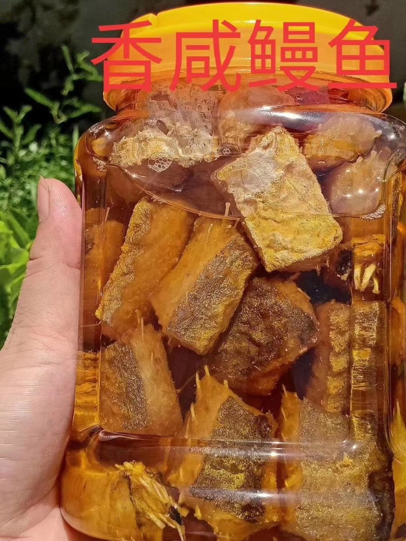 鳗鱼马鲛鱼带鱼