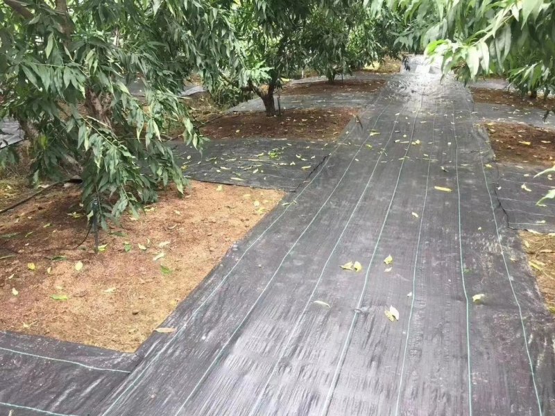 抗老化新型农用防草布除草布果园果树耐用透水透气除草地布盖