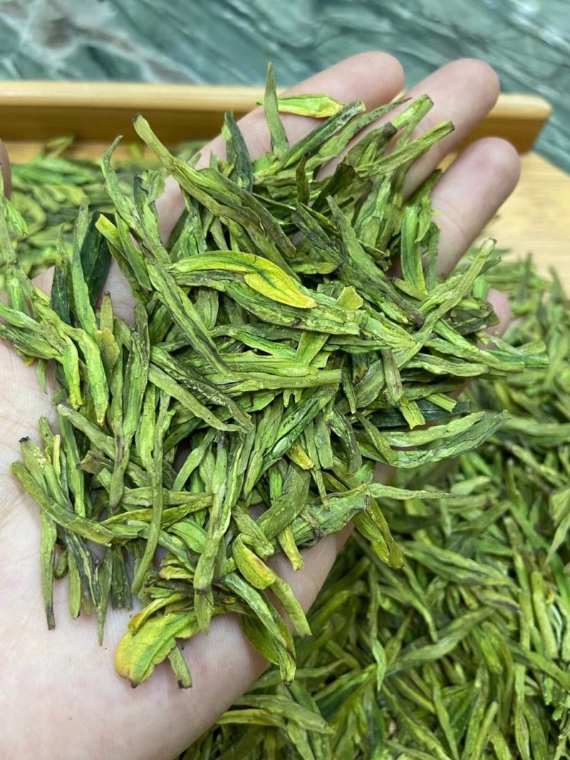 新茶明前雨后茶龙井茶浓香型韶关市南雄龙井茶500g包邮