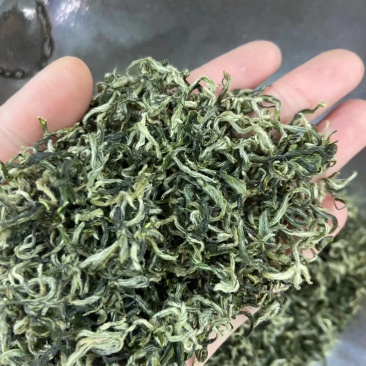 新款清明高山毛尖绿茶南雄市帽子峰山茶手工炒茶500g包邮