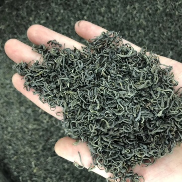 新款高山清明绿茶南雄市帽子峰山茶铁锅手工炒茶500g包邮