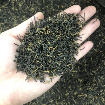 新款武夷山岩茶金骏眉粟香型红茶叶桐木关金俊眉散装500g