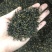 新款武夷山岩茶金骏眉粟香型红茶叶桐木关金俊眉散装500g