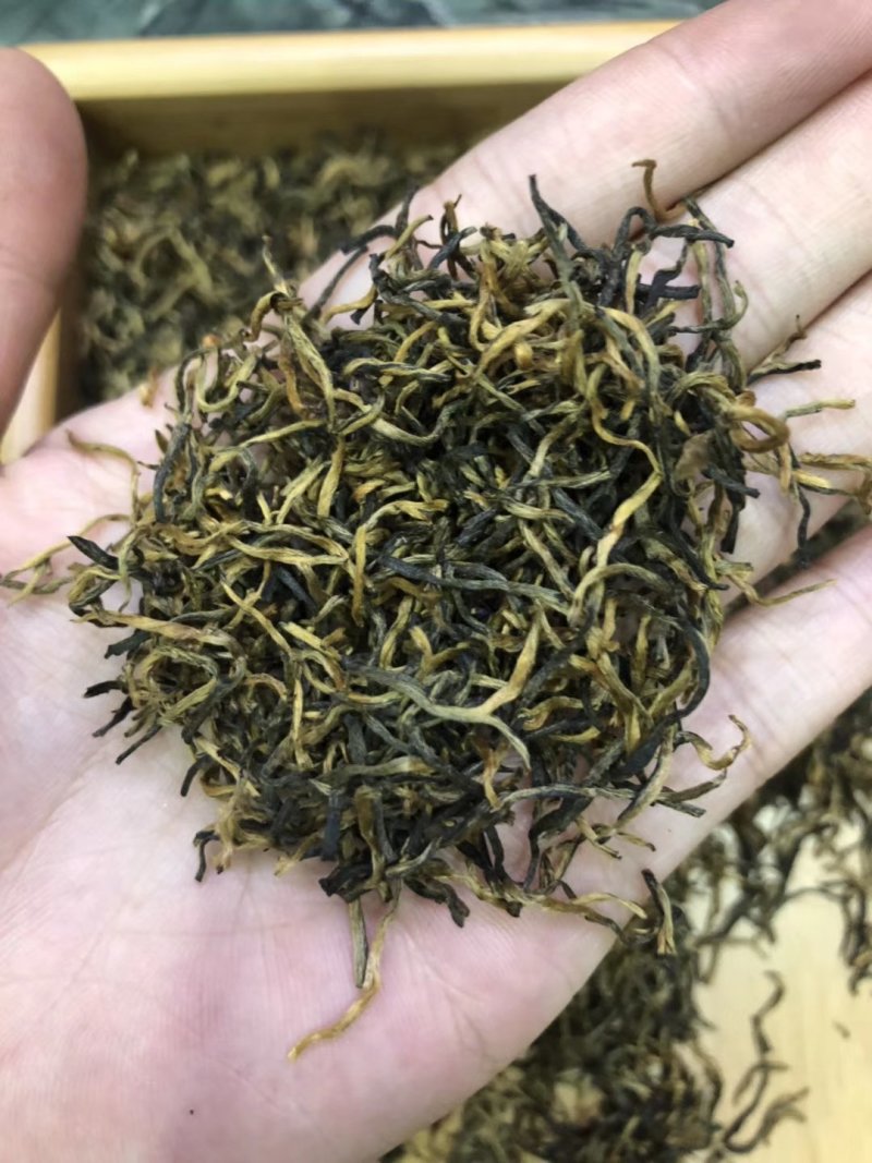 新款正宗武夷山金骏眉密香型红茶叶桐木关金俊眉散装500g