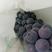 精品蓝莓葡萄夏黑有品有量欢迎各位老板对接