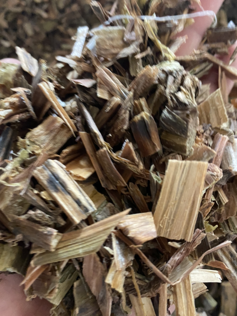 透骨草珍珠透骨草凤仙透骨草批发各种中药材量大从优