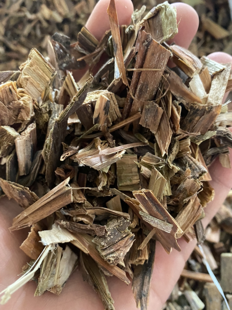 透骨草珍珠透骨草凤仙透骨草批发各种中药材量大从优