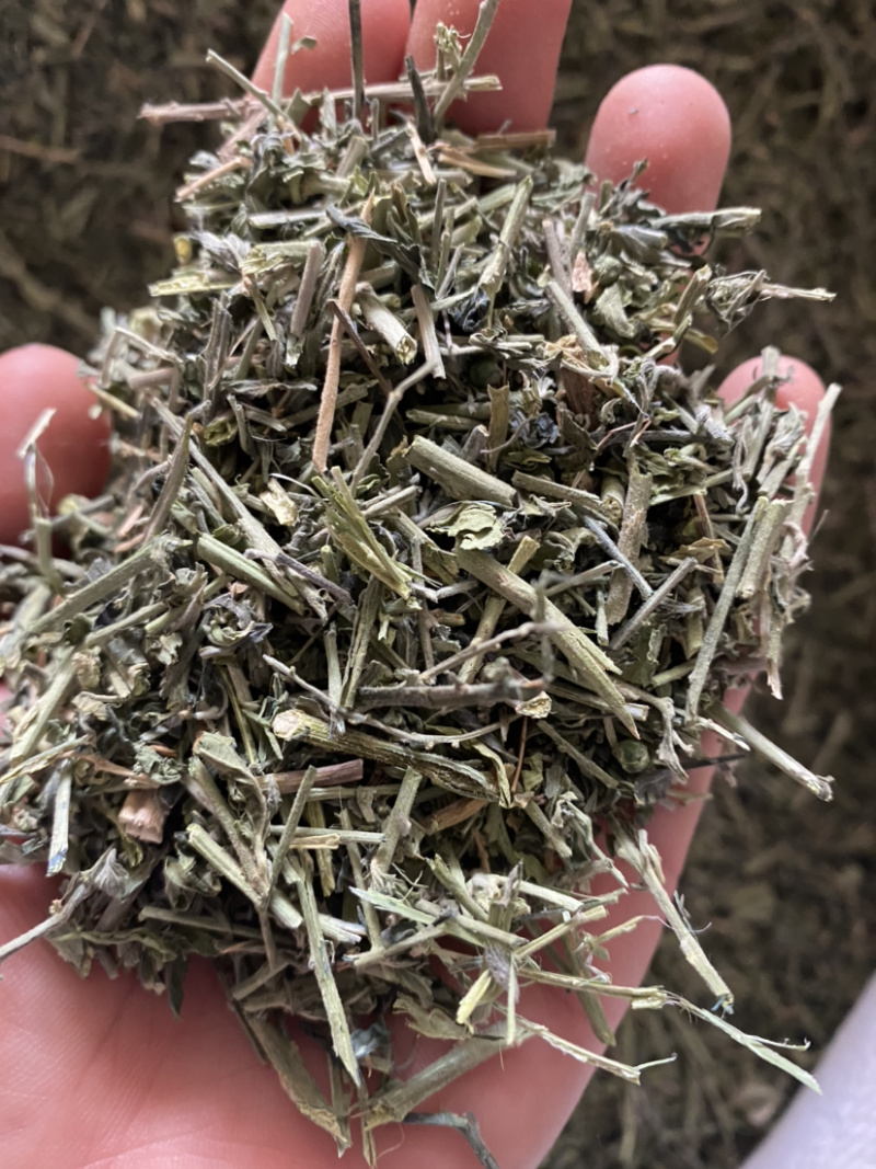 透骨草珍珠透骨草凤仙透骨草批发各种中药材量大从优