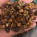 昌玉药材新货蜜炙红皮甘草货真价实