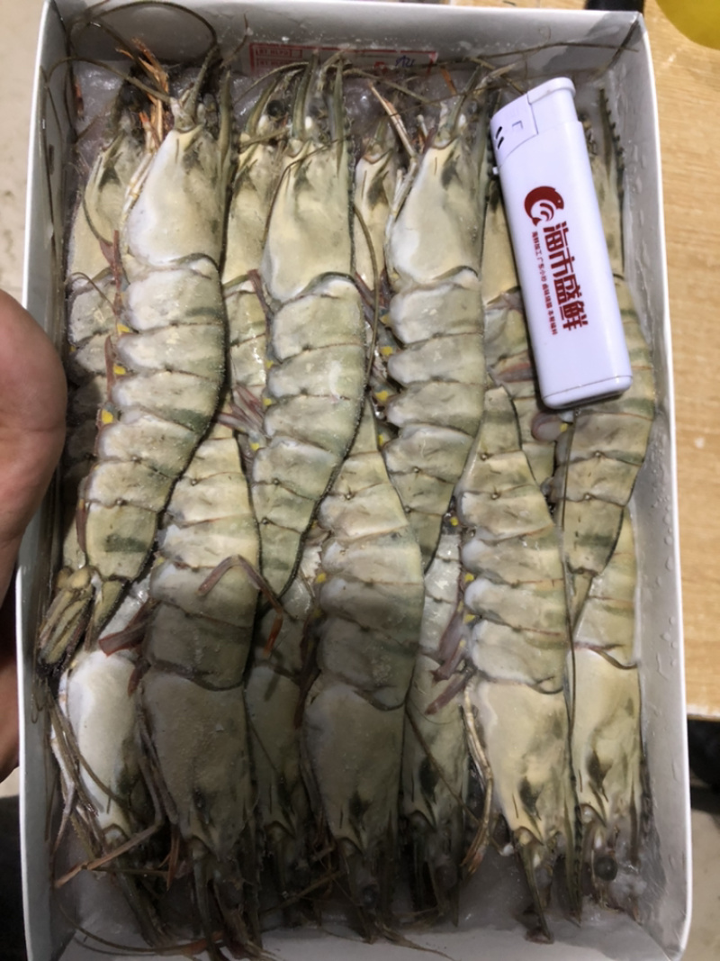 生冻黑虎虾，冷冻灭菌。