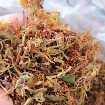 野生金银花批发价须要的联系我