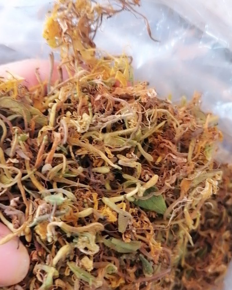 野生金银花批发价须要的联系我