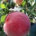北京平谷本地大桃，自产自销，量大从优，不好吃你打我。