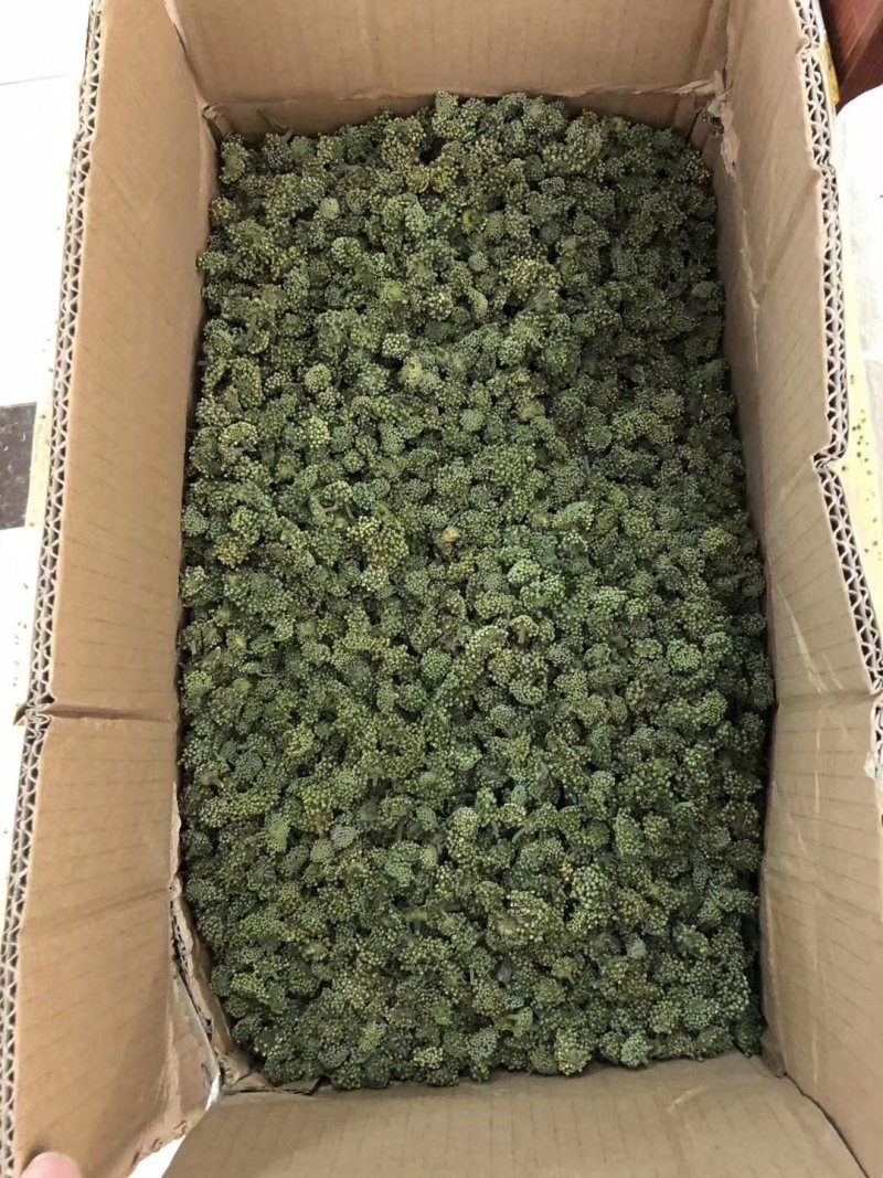 三七花大量批发零售质量保证