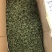 三七花大量批发零售质量保证