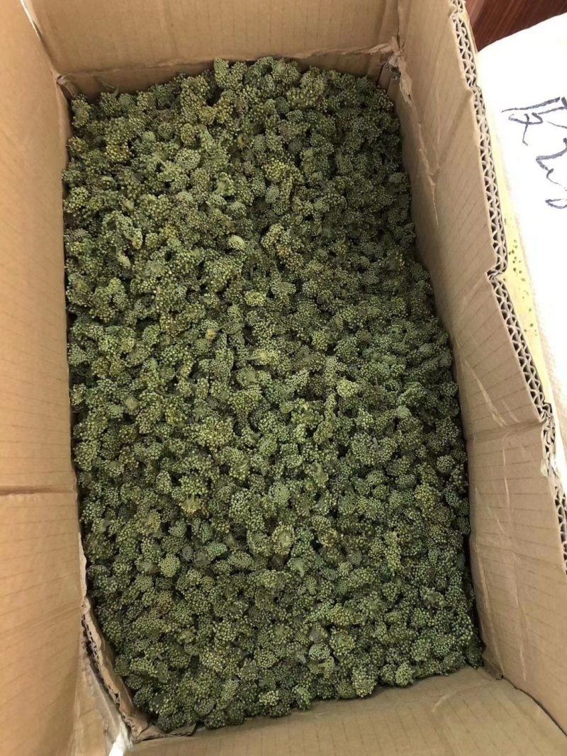 三七花大量批发零售质量保证
