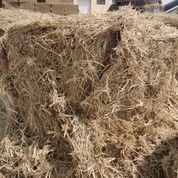 揉丝稻草