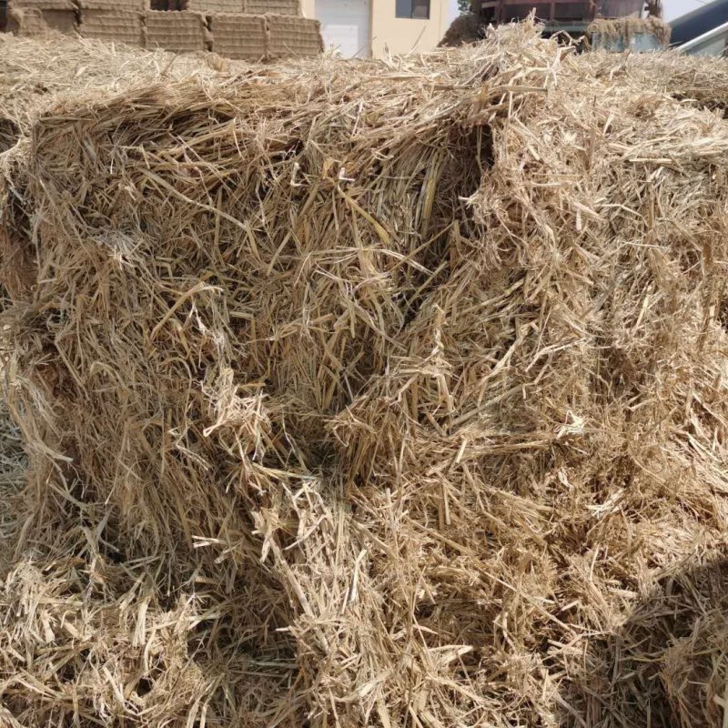 揉丝稻草