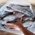 鱿鱼