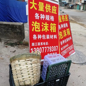 黑叶荔枝