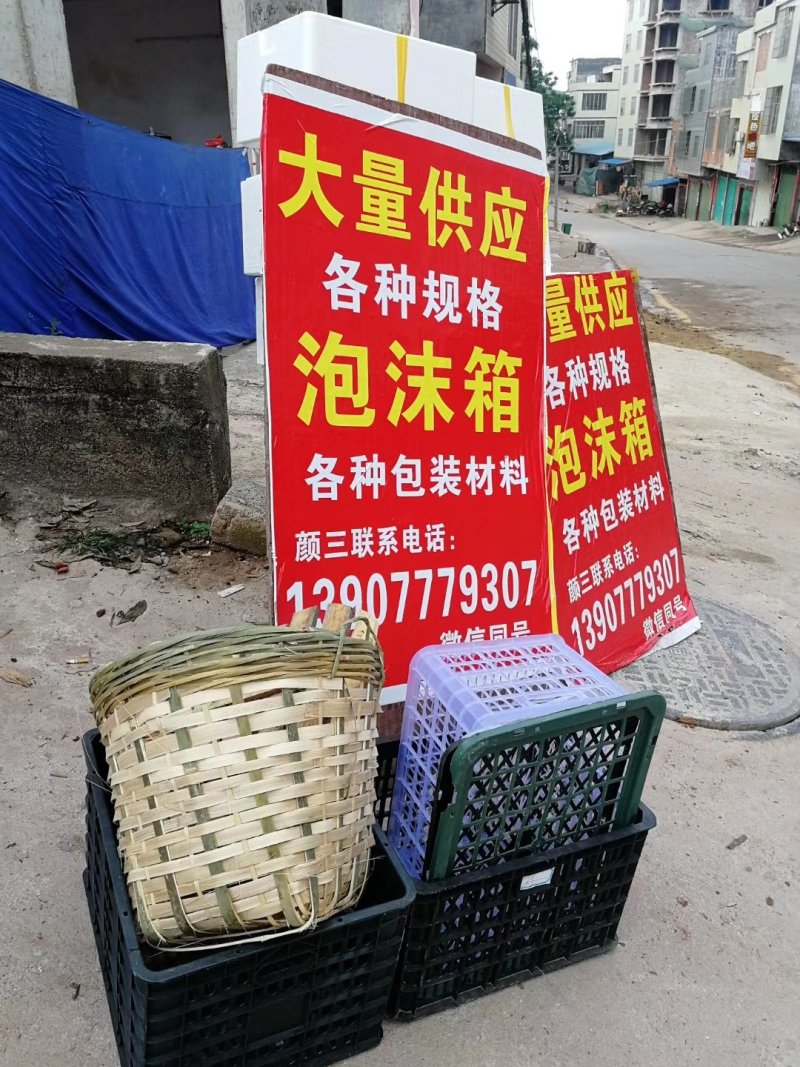 黑叶荔枝