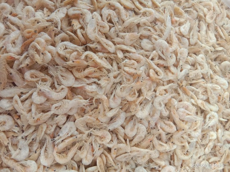 特大虾皮肉感超好规格不同价位不同