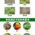 矿源黄腐酸钾腐植酸钾抗重茬生根壮苗提质增产全水溶肥料