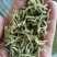 精选金银花北花，四季花新货二花无杂质