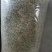 精选金银花北花，四季花新货二花无杂质
