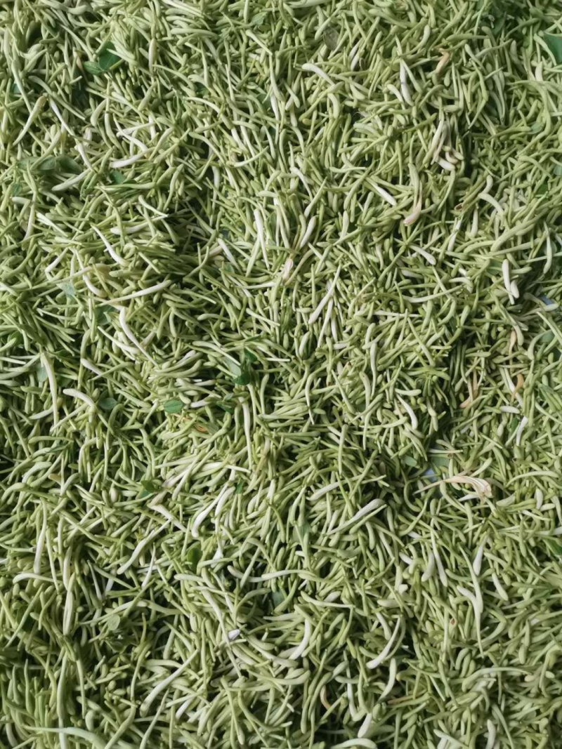 精选金银花北花，四季花新货二花无杂质