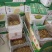 特价无硫，基地直供，原品黄花菜，电商，酒店，餐饮，等都可