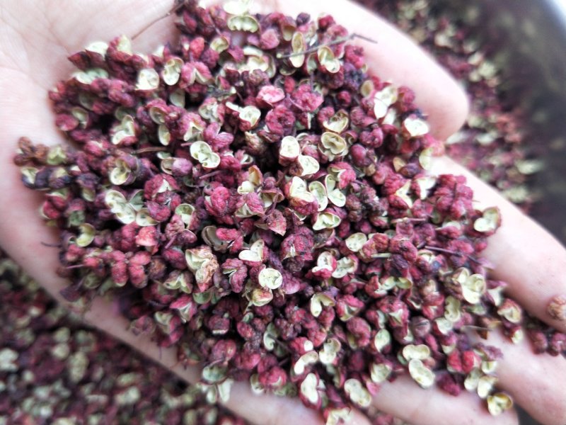 韩城大红袍花椒，特级花椒，味道纯正，口感香麻，欢迎选购